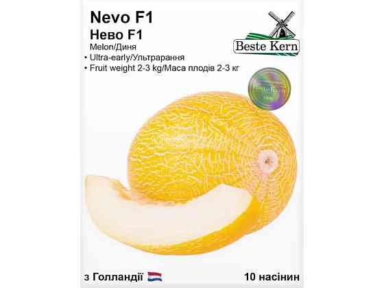 Дыня Нево F1 (10 семян)/(5 пачек в упаковке) ТМ Beste Kern Киев