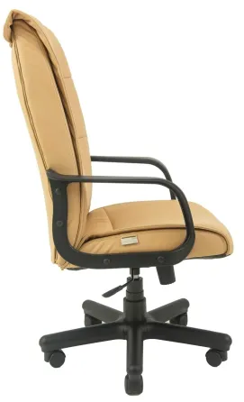 Офисное Кресло Руководителя Richman Rio Fly 2201 Пластик М1 Tilt Темно-бежевый Днепр