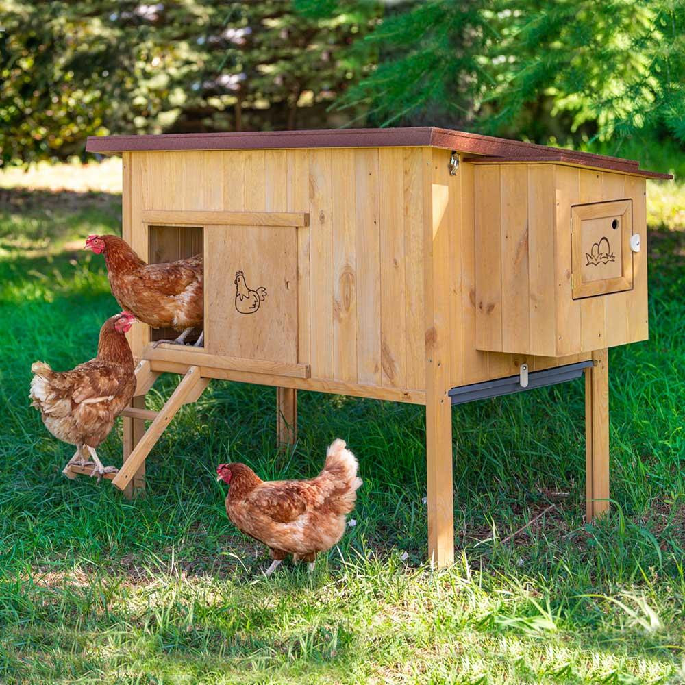Дерев'яний будиночок для курей Ferplast Hen House (Ферпласт Хен Хаус) 162 x 100 x h 110 см - 30 Запоріжжя - фото 8