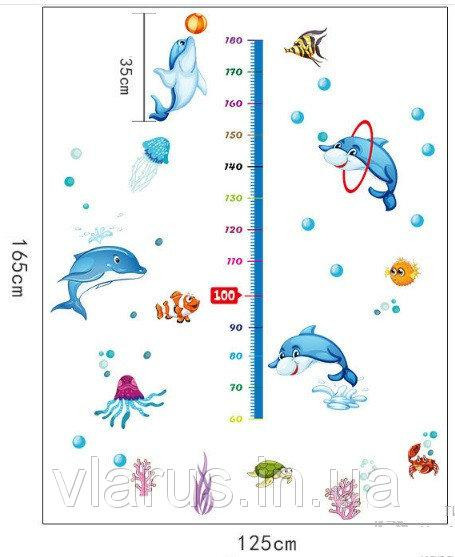 Дитяча наклейка ростомір Дельфіни Київ - фото 2