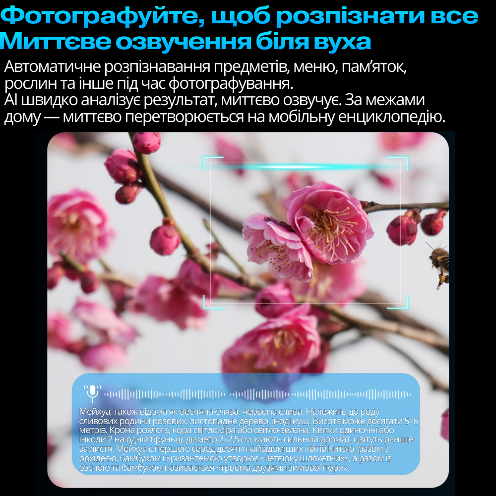 Смарт-окуляри з камерою з ШІ-функціями, асистент, голосове управління, перекладач, захист від вологи, Bluetooth, WiFi 2K/1080P Кам'янець-Подільський - фото 12