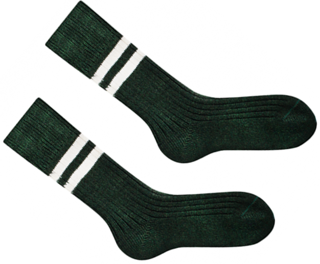 Шкарпетки Sammy Icon Vert 36-40 Вінниця - фото 3