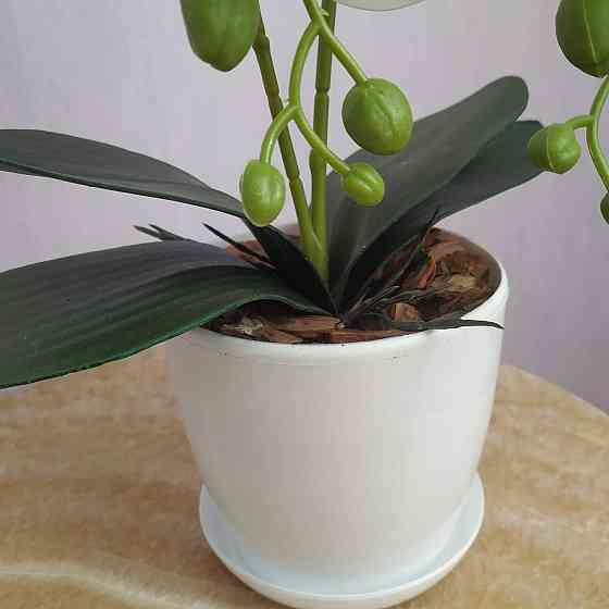 Штучна латексна міні орхідея в білому пластиковому кашпо на дві гілки біла Дніпро