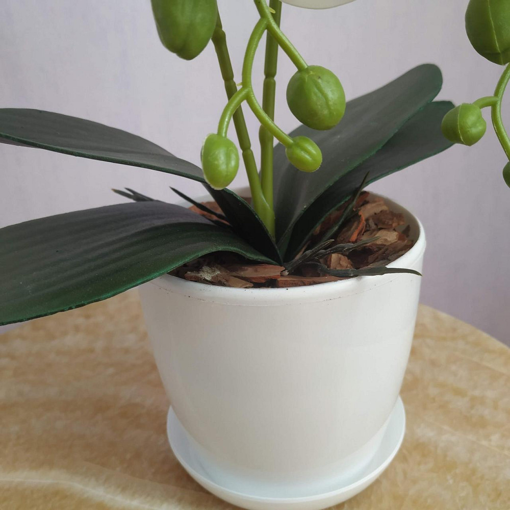 Штучна латексна міні орхідея в білому пластиковому кашпо на дві гілки біла Дніпро - фото 4