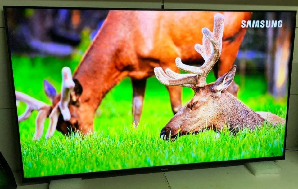 Телевизор Безрамный: 65