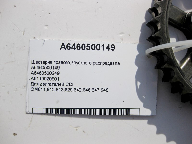 Mercedes-Benz  A6460500149 Шестерня распредвала OM611 OM646 R4 2.2cdi OM612 OM647 R5 2.7 cdi OM613 OM648 R6 3.2 Одесса - изображение 4