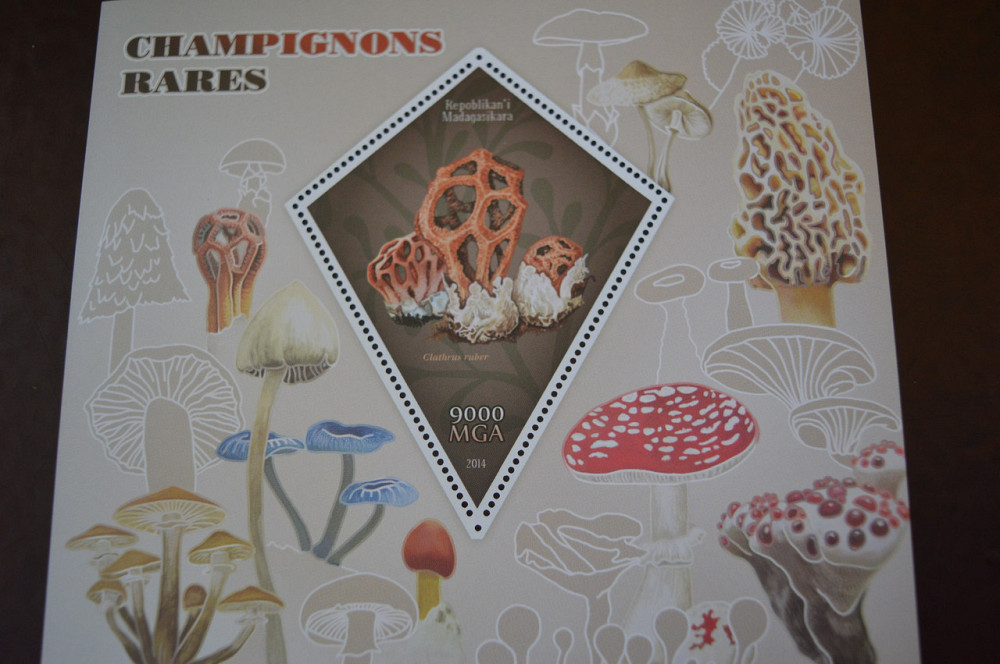 Мадагаскар. Марки. Фауна. Блок. 2015 рік (А-22) Полтава - фото 1