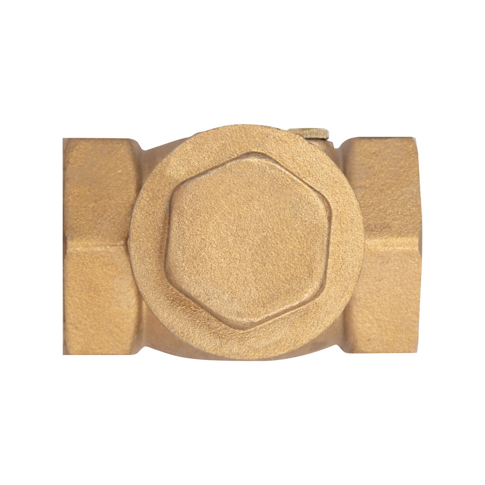 Зворотний клапан Thermo Alliance Standart 1" SD242W25 Київ - фото 9