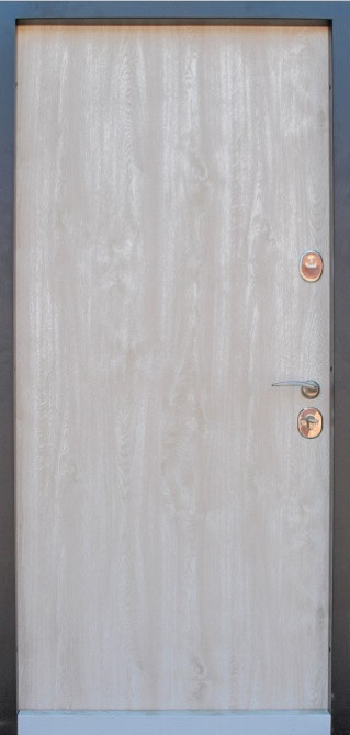 Двери уличные, модель Thermo Steel  Standart 21-17, 2 замка, одинарные, глухие 870R Киев - изображение 2