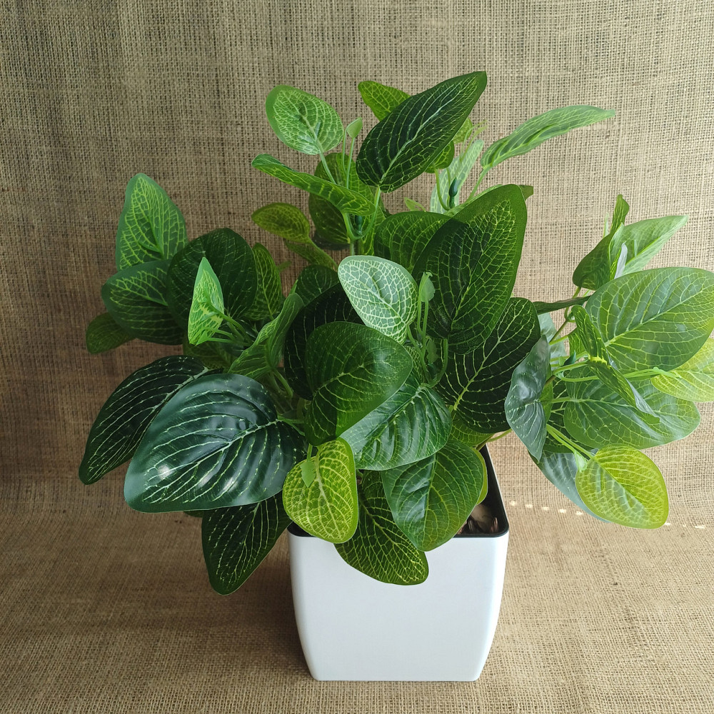 Штучний кущ фітонії із латексу Дніпро - фото 1