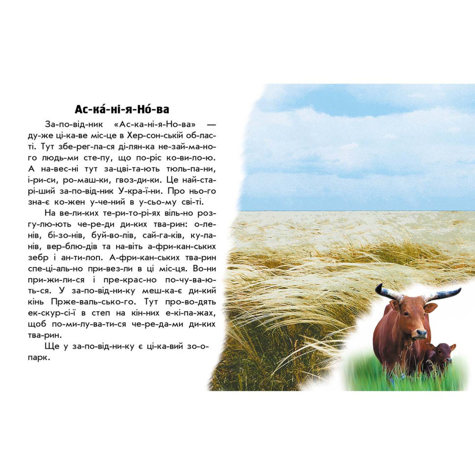 Читаю про Украину по слогам 