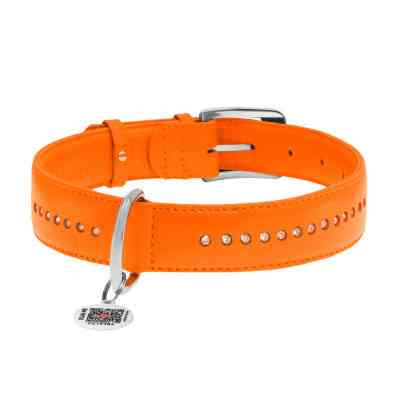 Нашийник для тварин WAUDOG Glamour з QR-паспортом, подвійний Ш 25 мм Д 38-49 см помаранчевий (38784) Вінниця