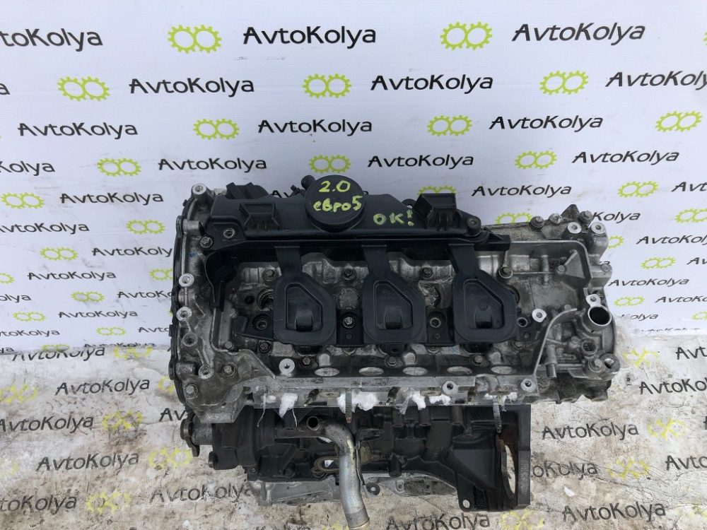 Двигун Opel Vivaro 2.0 2011-2014 Euro 5 Ковель - изображение 1