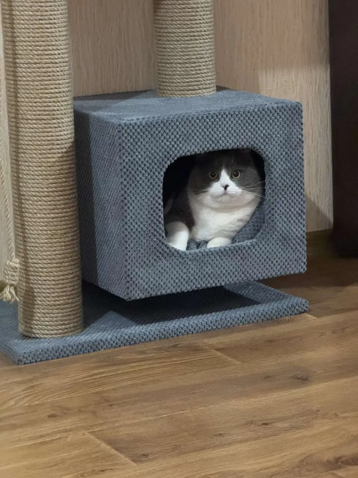 Когтеточка дряпка с домиком и лежанкой 85×55×35 см, комплекс для кота Киев - изображение 6