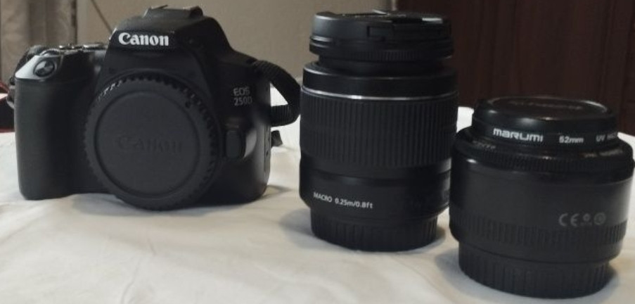 Фотоапарат: Canon EOS 250D. Київ - фото 4