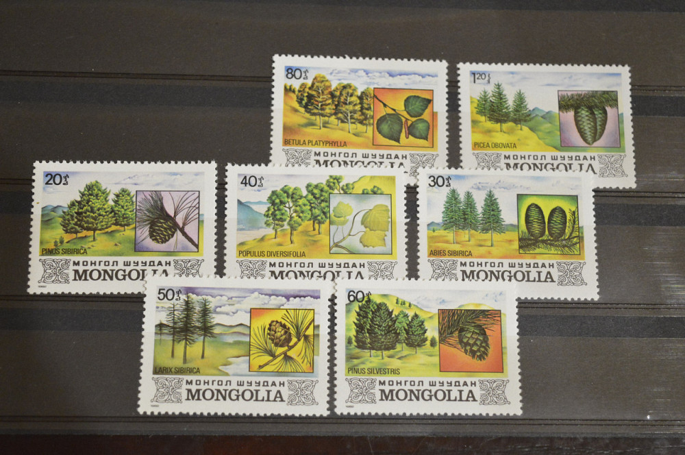 Монголія. Флора. 1982 рік Полтава - фото 1