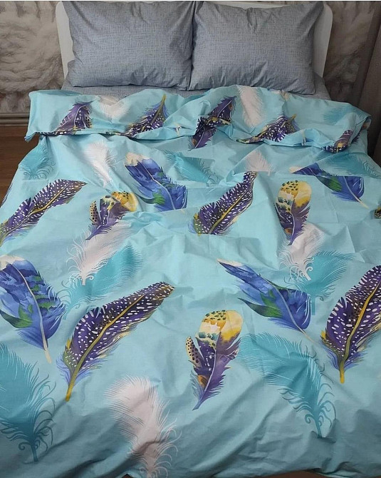 Ecotton Комплект постільної білизни Ecotton Євро 210х220 см Пір'я блакитний (23938) Киев - изображение 1