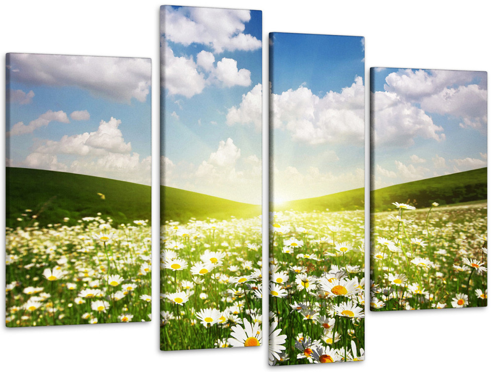 Модульна картина Поле Ромашок Art-125_4 Київ - фото 1