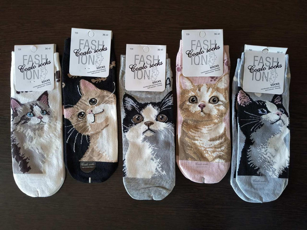 Носки женские с котятами.В наборе из 5шт. Яркие женские носки с приколами. Coalo socks. Размер 36-41 Киев - изображение 3