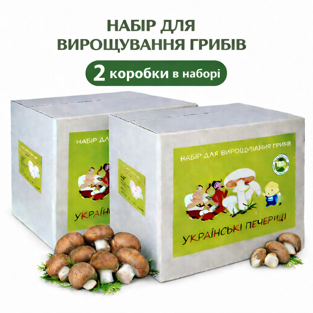 Грибний набір для вирощування королівських печериць готова грибна коробка з засіяним міцелієм печериць (2 коробки) Харків - фото 1