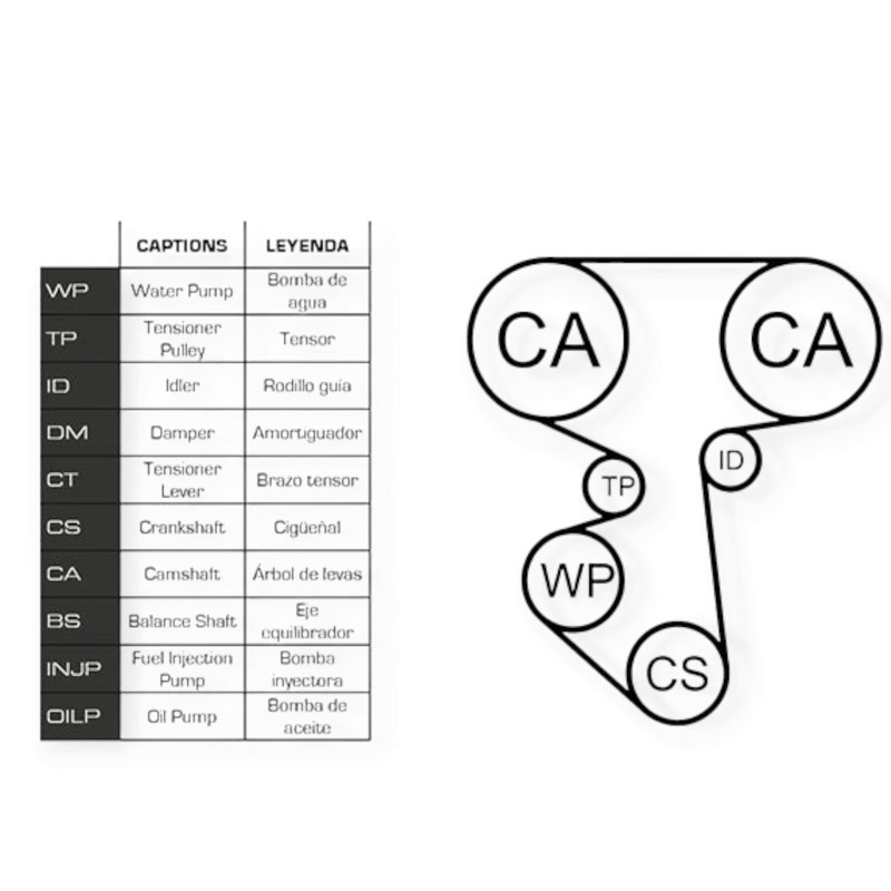 Ремкомплект ГРМ автомобіль Фіат Scudo 2.0i (00-06) (ремінь, ролики, помпа) - Мукачево - фото 2