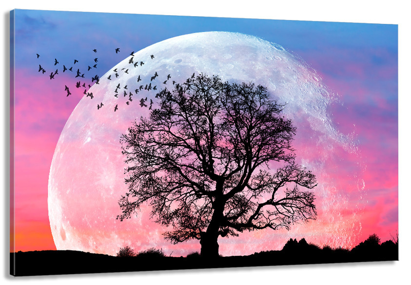 Картина холст в гостиную / спальню   Природа     MLP_220 40x80 см Киев - изображение 1