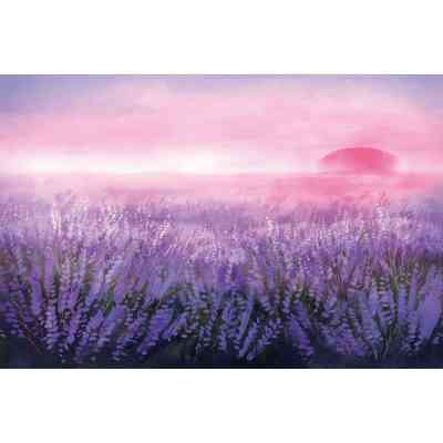 Книга Вересова Міль - Оксана Була Видавництво Старого Лева (9789664480359) Винница