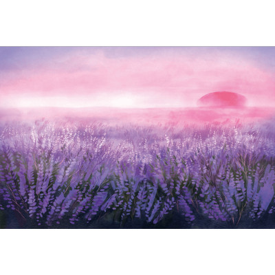 Книга Вересова Міль - Оксана Була Видавництво Старого Лева (9789664480359) Винница - изображение 3