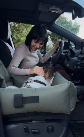 Автокрісло для собак Happy Peppy (Хеппі Пеппі) DogRide Запоріжжя