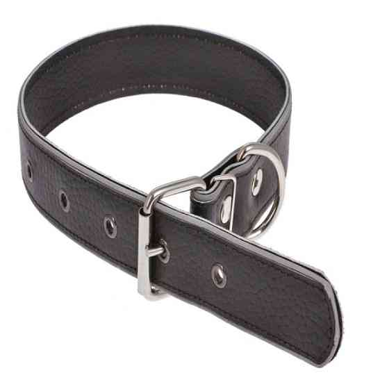 Нашийник 527 35мм "Класик" з світловідбиваючої стрічкою Вінниця