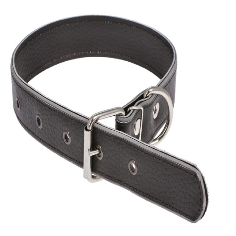 Нашийник 527 35мм "Класик" з світловідбиваючої стрічкою Вінниця - фото 1