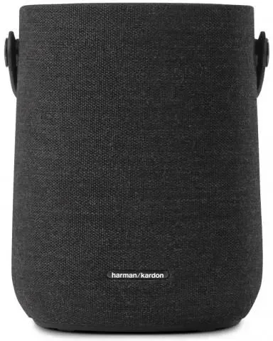 Портативна колонка Harman Kardon Citation 200 czarny Київ - фото 1