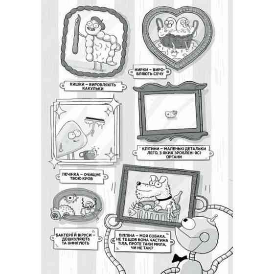 Енциклопедія дошкільника "Анатомія для дітей" 154101 Вінниця