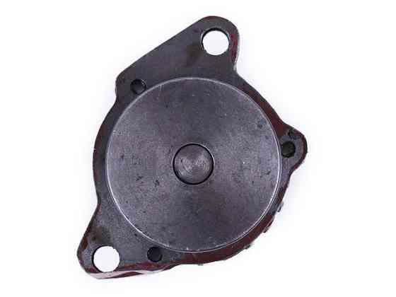 Насос оливний у зборі двигателя TY290 мінітрактор/295 Хинтай 180/220 Мукачево