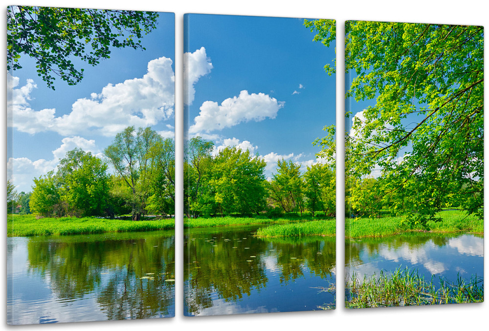 Модульная картина в гостиную / спальню   Природа      ART-046_3A Киев - изображение 1