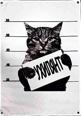Кот нарушитель баннер 900х600 мм Киев
