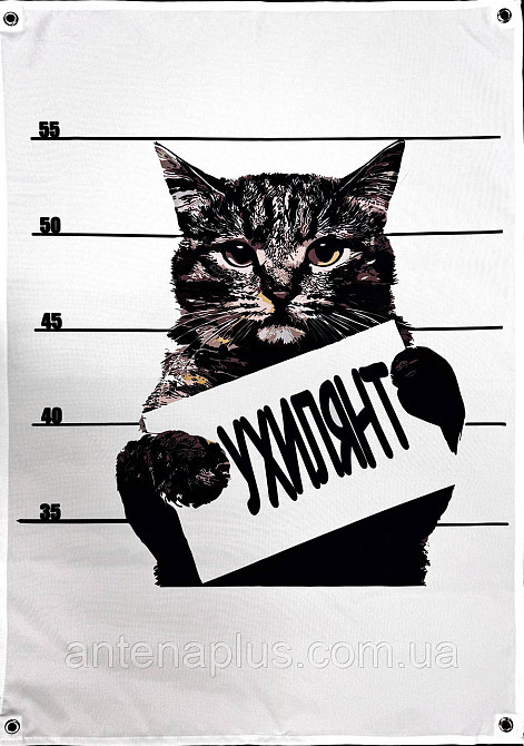 Кот нарушитель баннер 900х600 мм Киев - изображение 1