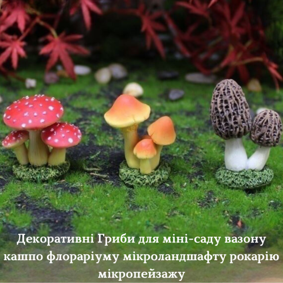 Декоративные Грибы для мини-сада, флорариума, микроландшафта, кашпо, миниатюры т творчества. Набор Одесса