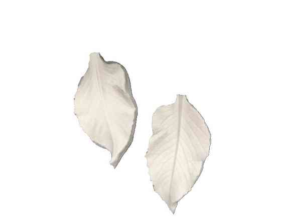 Силіконовий молд Листя троянди 78 на 40 мм білий Київ