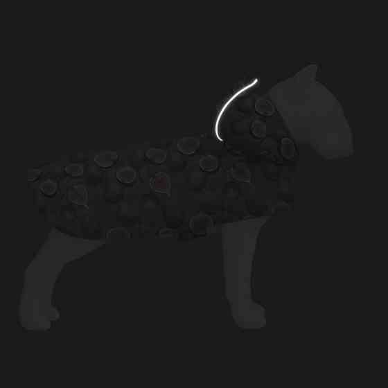 Дощовик-накидка з капюшоном для собак WAUDOG Clothes, малюнок "Інжир", А 23-26 см, B 30-36 см, С 15-20 см Київ