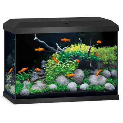 Аквариум Juwel прямой Primo 70 LED черный (4022573255706) Винница