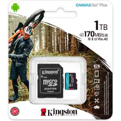 Карта памяти Kingston 1TB microSDXC сlass 10 UHS-I U3 V30 A2 Canvas Go Plus G4 (SDCG4/1TB) Винница