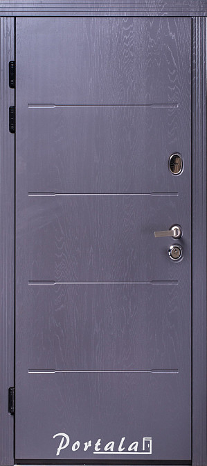 Двери квартирные, серия Премиум, модельТокио 2, гнутый профиль, коробка 150 мм, полотно 105мм,  KALE257 Киев - изображение 1