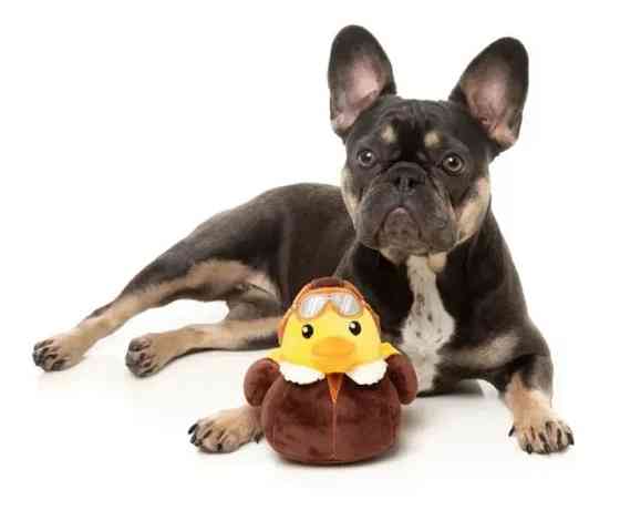 М'яка іграшка для собак FuzzYard Качечка Амелія Квакхарт S Луцк