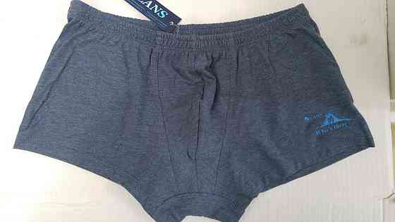 Труси чоловічі шорти Lans 07/031 XXL, Синій Київ