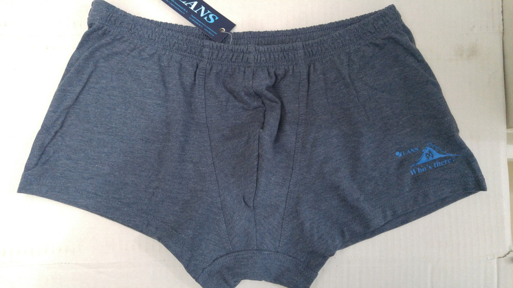 Труси чоловічі шорти Lans 07/031 XXL, Синій Київ - фото 2