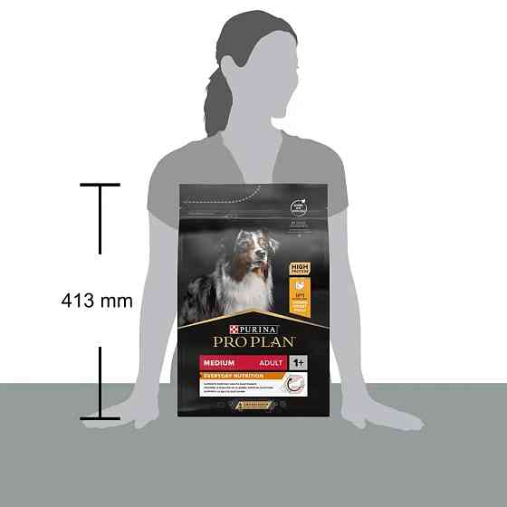 Сухий корм PRO PLAN Medium Adult 1+ Everyday Nutrion для дорослих собак середніх порід, з куркою, 3 кг Київ