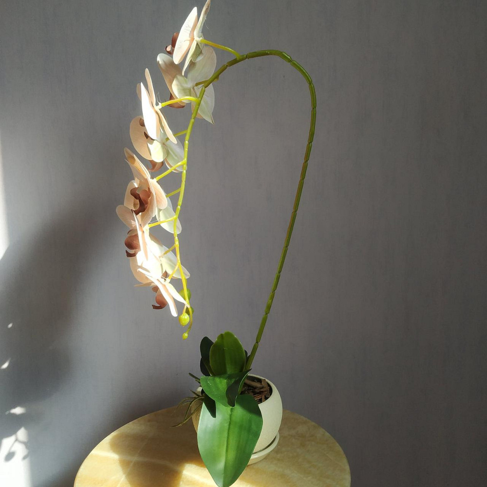 Штучна латексна орхідея VIP у бежевому керамічному кашпо на одну пудрову гілку. Дніпро - фото 4