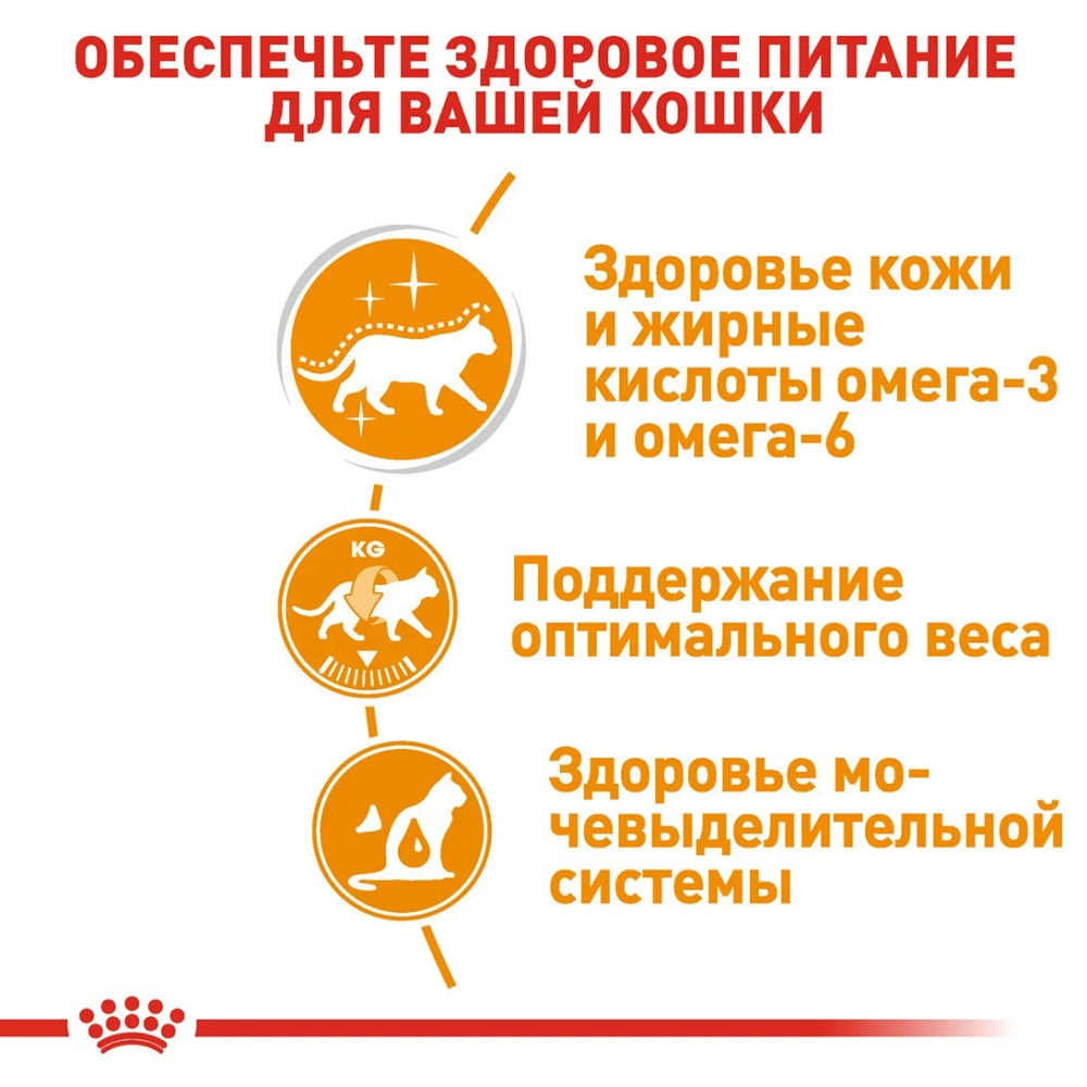 Royal Canin Intense Beauty Jelly (Роял Канін Інтенс Б'юті) вологий корм для кішок для шкіри та шерсті 85 г х 12 шт. Запоріжжя - фото 3