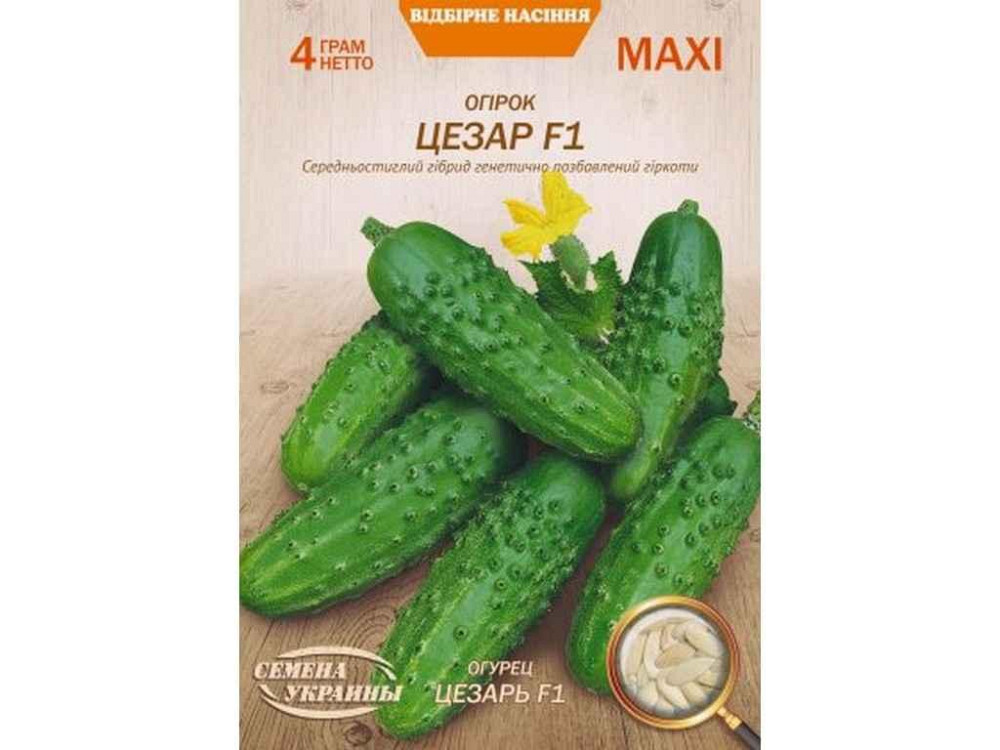 Максі Огірок ЦЕЗАРЬ F1 4г (10 пачок) (сс) ТМ НАСІННЯ УКРАЇНИ Київ - фото 1